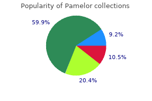 cheap pamelor express